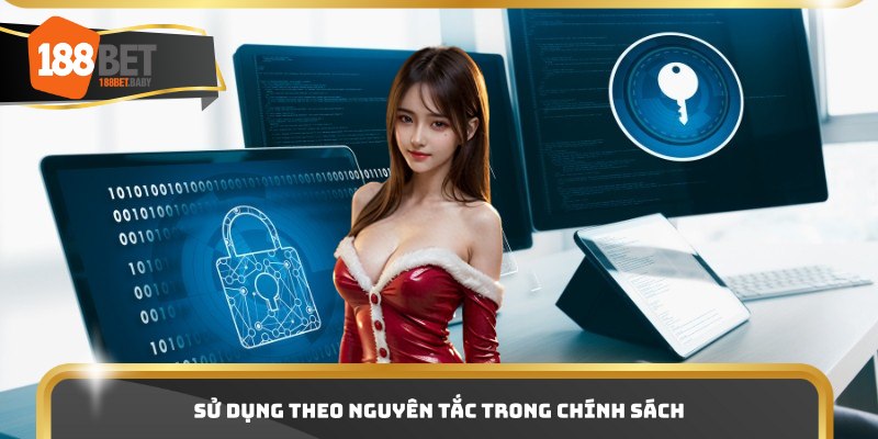 Sử dụng theo nguyên tắc trong chính sách